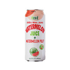 VINUT 100% JUICE W/PULP 24/16.57 WATERMELON