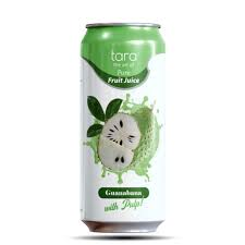 VINUT 100% JUICE W/PULP 24/16.57 SOURSOP