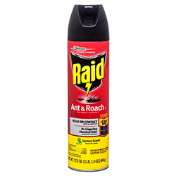 RAID ANT & ROACH LEMON 12/17.5 OZ