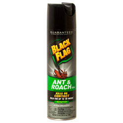 BLACK FLAG ANT & ROACH SPRING FRESH 12/17.5 OZ