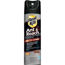 REAL KILL ANT & ROACH 12/17.5 OZ